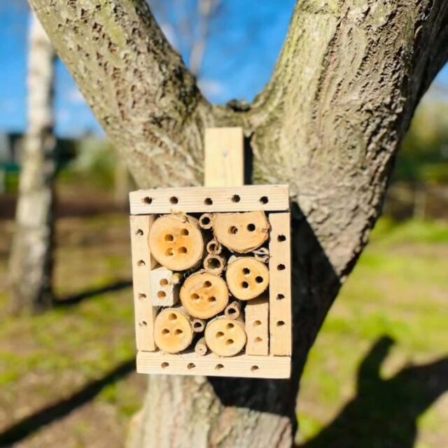 Going Green – More Than You Might Expect 🌿

When you think of a busy logistics site, woodland walks and wildlife habitats probably aren’t the first things that come to mind—but that’s exactly what’s growing here.

Hidden within our 11-acre site is a small woodland area that, until recently, had been left untouched. This year, thanks to a wonderful local couple, it’s being transformed into a thriving space for nature.

Using leftover timber from our operations—upcycling at its best—they’ve created bird boxes, bug hotels, and natural habitat hedges. Wildflower seeds have been planted, and even a small pond has been introduced, already attracting new visitors. It’s becoming a haven for wildlife, and we’re looking forward to seeing it develop and blossom through the seasons.

It’s also a peaceful space for our team to enjoy—a chance to step away from the pace of the day, get some fresh air, and recharge.

This initiative forms part of our wider decarbonisation programme, delivered in partnership with the University of Derby through the De-Carbonise project. As a busy logistics centre, we’re conscious of the carbon impact created by HGVs and forklift trucks, so we’ve focused on introducing more greenery across the site—from planted fields and flower beds to trees, shrubs, and even bee hives, now producing local honey.

Alongside this, we’ve invested in sustainable infrastructure, including redesigned drainage systems and reed beds to support water management and biodiversity.

For us, being “green” isn’t just a statement—it’s about making meaningful, lasting changes for both our people and the environment.

And sometimes, it starts with a once-forgotten woodland. 🌱